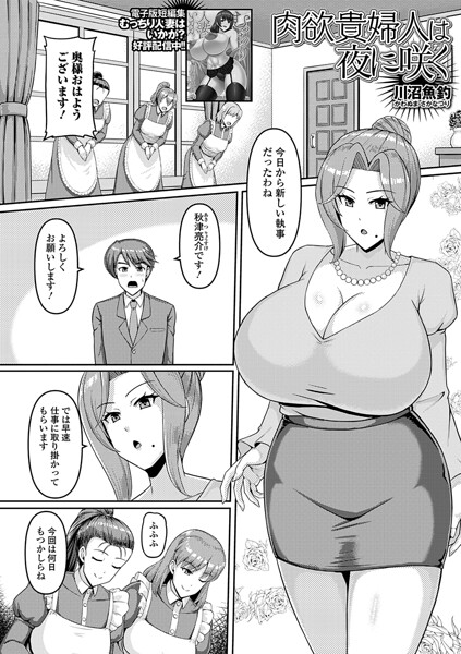 B164aisis06099pl
