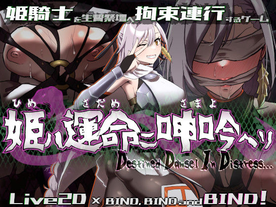 D 555367pl