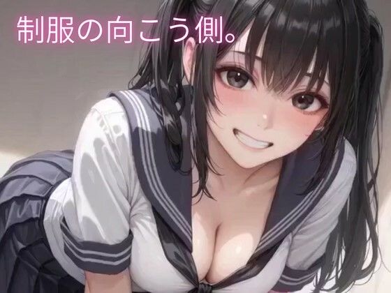 D 772511pl