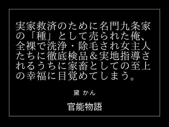 D 781100pl