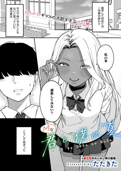 S011akamj02435pl