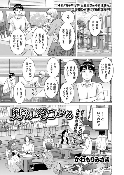 B390bleed04904pl