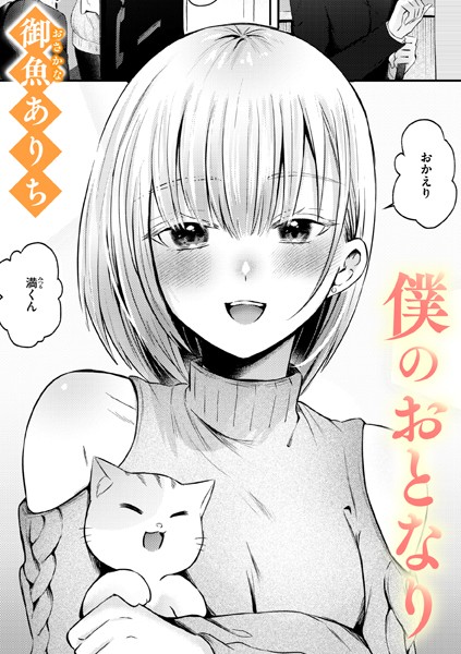 B915awnmg03377pl
