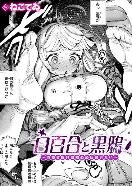 B915awnmg04194pl