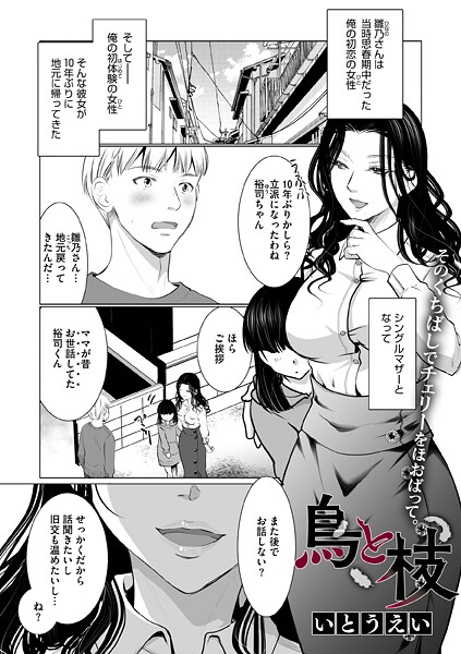 S011akamj02732pl