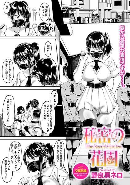 S011akamj02734pl