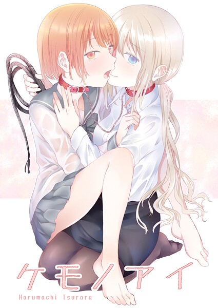 K804annbn17681pl